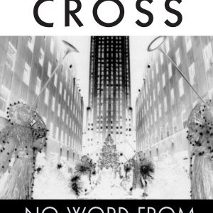 📚 Ebook: Amanda Cross – Kate Fansler 09 – Der Sturz aus dem Fenster 📚