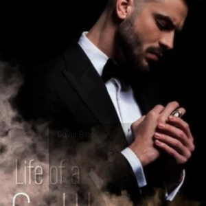 Erotik Hörbuch: Callboy