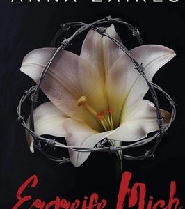 🎧 Hörspiel: Ergreife Mich – Die komplette Trilogie