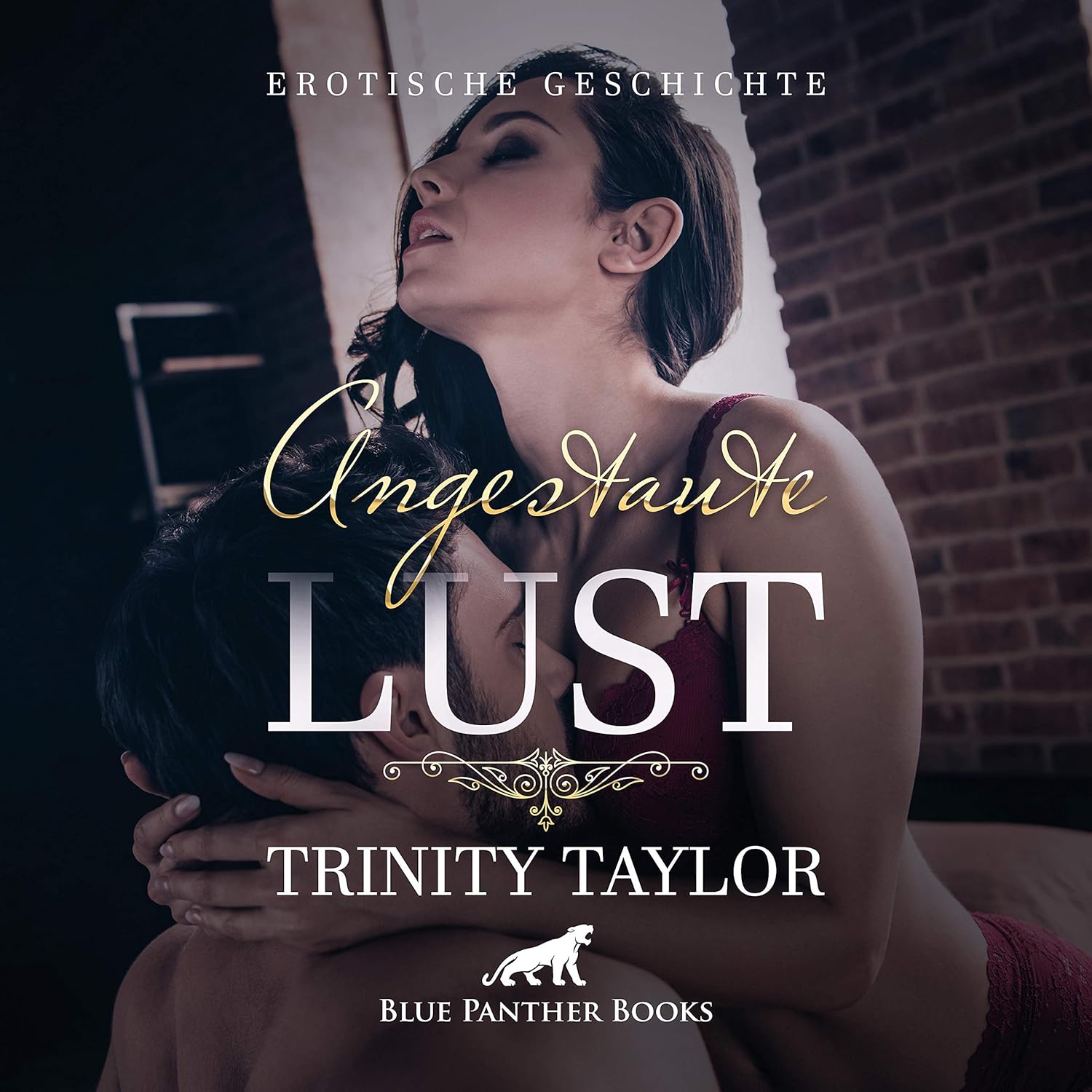 🎧 Hörspiel Trinity Taylor – Angestaute Lust – Das erste Date nach sechs Jahren