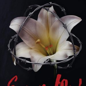 🎧 Hörspiel Roman – Anna Zaires – Ergreife Mich – Die komplette Trilogie